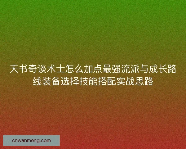 天书奇谈术士怎么加点最强流派与成长路线装备选择技能搭配实战思路