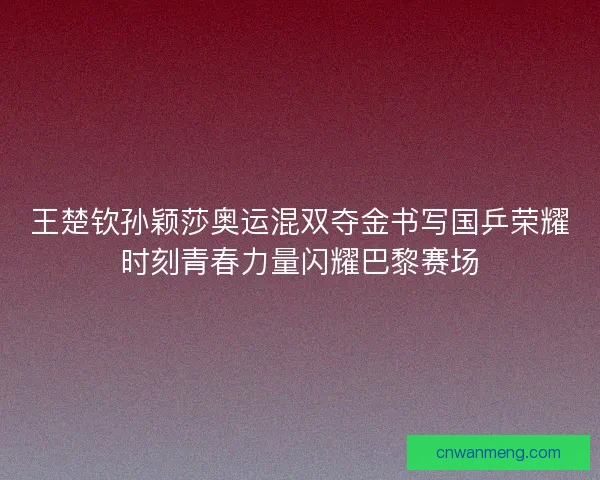 王楚钦孙颖莎奥运混双夺金书写国乒荣耀时刻青春力量闪耀巴黎赛场