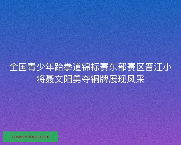 全国青少年跆拳道锦标赛东部赛区晋江小将聂文阳勇夺铜牌展现风采